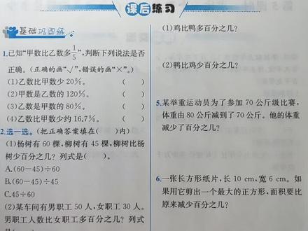 数学六年级上册课时练第65页(2022)