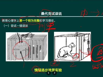 划重点:桑代克尝试错误说。碎片时间看一看