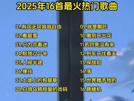 2025最火爆的歌曲维语版-抖音