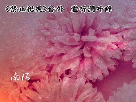 #禁止犯规 番外
霍听澜你可真是无时无刻都在……🙈🙉