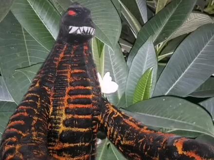 #抖出我的艺术 制作#怪兽 EX#雷德王 ,当#手艺人 盯上#奥特曼 @抖音小助手