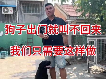狗子出门叫不回来,我们只需要这样做,狗狗就会一叫就来啦#养狗经验分享 #科学养宠攻略 #新手养狗