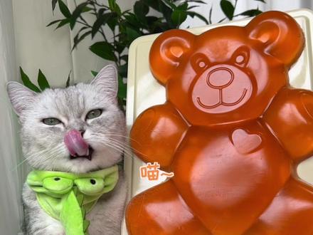 猫王:巨无霸小熊软糖,做一次吃一年!#会做饭的猫 #小熊软糖 #自制软糖