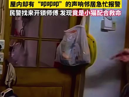 九旬老人家中摔倒,宠物猫敲地板求救成功。