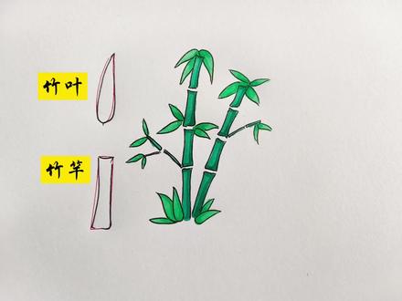 #一起学画画 花草系列之竹子
