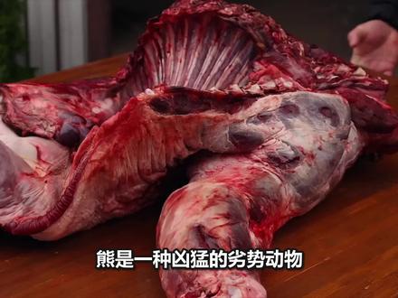 哈萨克斯坦烤熊肉,500斤巨熊任人宰割,两位大叔吃到停不下来