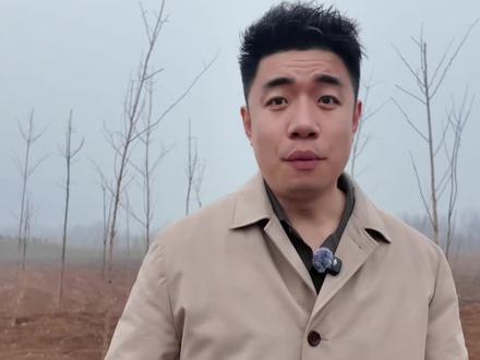 别再被 DM 小说忽悠了!今天带你看全中国最硬核的“真龙脉”——大秦岭!🐉
冬天西伯利亚寒流在这“无能狂怒”,夏天太平洋暖流被它一把按下!冷暖气流天天在龙脊上“神仙打架”,硬生生造就了徒步圈最致命的禁地“鳌太线”。它不讲 FS 玄学,它用千万年的岩石身躯,实打实地替咱们挡风遮雨。这才是中国真正的物理防御塔!
#龙脉 #鳌太线 #地理科普 #旅行探险#西安旅游