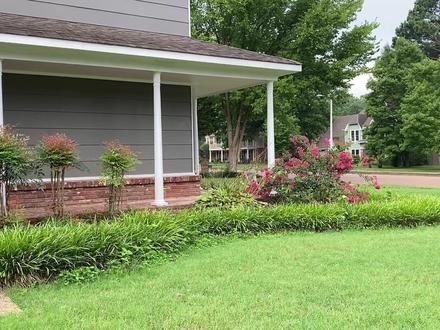 回复朋友留言:太极拳的“气宜鼓荡”怎么练习? #太极 #太极拳 #太极养生动起来 #陈氏太极 #武术 #站桩 #武林绝学 #传统武术 #内家拳 #太极养生