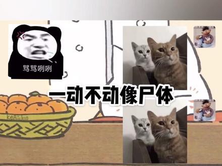 给你不回消息的朋友看哈哈哈哈哈哈~@抖音小助手