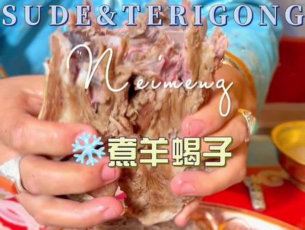 用天上的水煮个羊蝎子#内蒙美好推荐官 #草原美食 #记录草原生活 #牧民生活 #少数民族的魅力