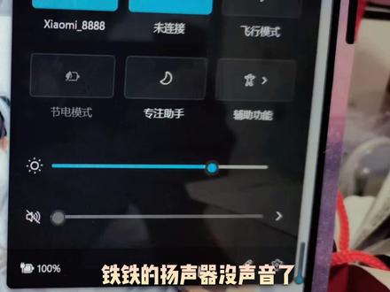 扬声器没声音 你的电脑是不是显示的和视频一样 来试试吧