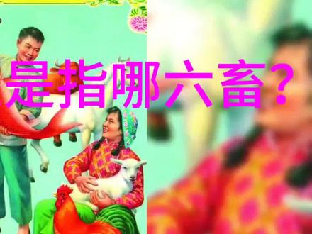 六畜兴旺是指哪六种动物#三农 #抖音助农 #农村生活 #粉丝 #上热门