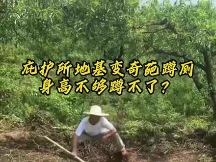 椰来旺户外赛事,庇护所地基变奇葩蹲厕 #荒野韦山#荒野归途#荒野苗王#荒野道友#荒野熊二