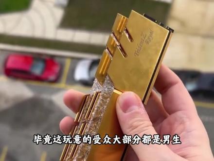 商家们最擅长饥饿营销,但男生们却擅长保持饥饿 #饥饿营销 #内存条 #装机