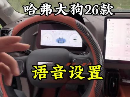哈弗大狗2026款语音功能。#哈弗大狗2026款 #汽车知识分享