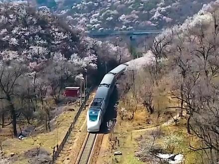 您绝不能错过的新晋网红打卡地八达岭梦幻长城球幕影院。有人说是4D还有人说是9D。29号中午11点直播见!#旅游