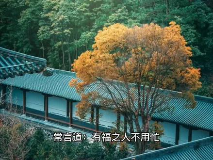 #抖音热门 #推荐#因果 #命 #钱财 #修行#福报 #运气 因果定律:你命里的钱,都是有定数的!