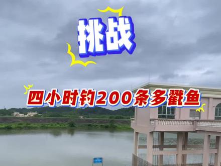 挑战,四小时钓200条多戳鱼。 #钓鱼人就是这么疯狂上热门 #地狱猫 #如何成为野钓高手 #原来钓鱼才是抖音运动顶流
