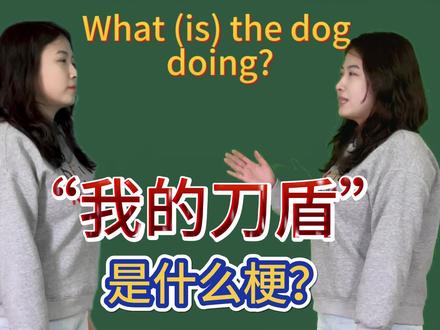 “我的刀盾”是什么梗?#长春英语老师 #小初英语老师 #英语学习#英语知识分享 #猫meme