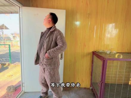 阿龙爱犬球球美丽身处异乡离奇死亡?追查真相(二) #痛失爱犬#阿龙犬舍#球球死亡#普雷萨加纳利#养狗人