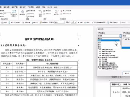 论文交叉引用找不到题注怎么办 #论文 #wps #word