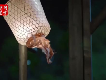 为什么越优秀的人越谦卑?#传统文化 #国学智慧