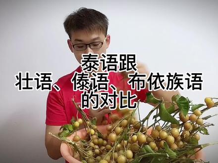 他们说广西人学泰语很简单,你们来看看泰语和壮语、傣语、布依语像不像。@Jerry_阿瑞、 @峰萧萧(布依族) @莎哇萨哩