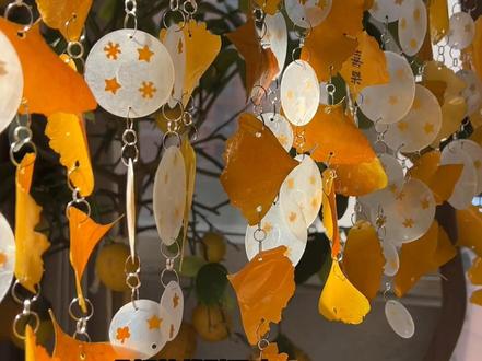 大自然的声音太治愈啦~这次有幸在北京春苗慈善基金会的邀约下,我来到清华大学第一附属医院先心病筛查基地,把风、贝壳和落叶的声音,一起带进了重症小朋友身边。看着孩子们把秋天做成会唱歌的风铃,我想——这大概就是“治愈”最生动的样子。#手工vlog #秋天 #自然 #先心病 #重症儿童救助