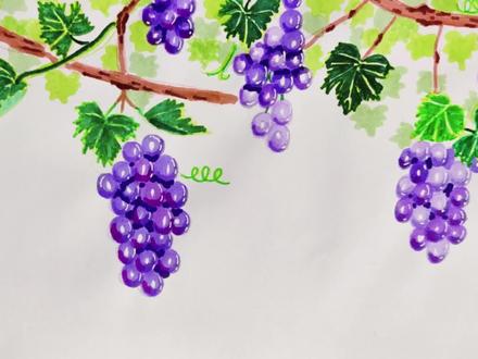 马克笔之葡萄#一起学画画 #一学就会系列