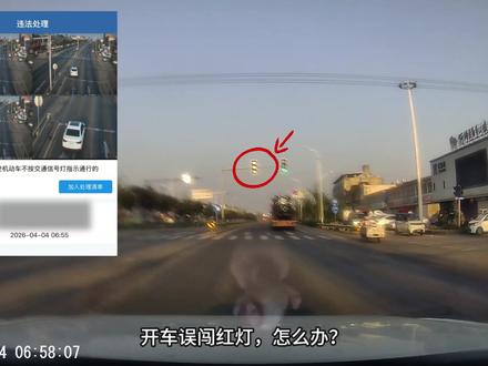 误闯红灯先别着急!有人跟我一样经历吗?#闯红灯 #违章 #奥迪 #汽车小知识 #热门