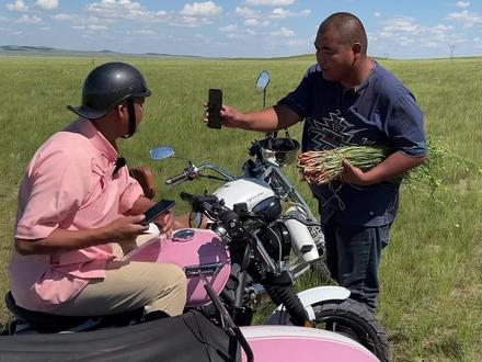 #新农人计划2022 #是内蒙那味儿 #野葱 @巴特尔【画中游牧】