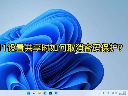 windows 11取消共享文件夹密码保护 #电脑知识 #windows11 #共享文件夹设置