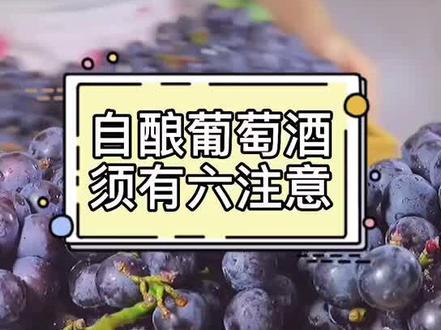 自酿葡萄酒须知请收藏~#葡萄酒知识 #葡萄酒科普