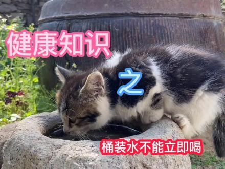 #萌知计划 #抖音青少年 #科普一下 #涨知识 健康知识:刚装好的桶装水,不能立即喝