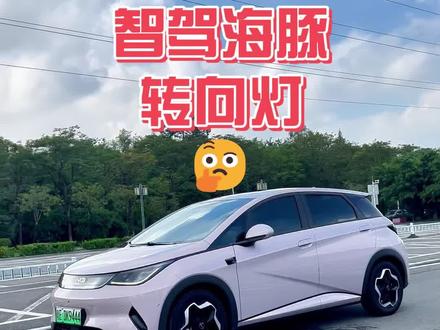 智驾版海豚转向灯声音怎么调?超全使用技巧 + 详细设置教程,一次性教给你!#比亚迪海豚 #比亚迪汽车 #用车知识 #比亚迪海豚车主 #比亚迪