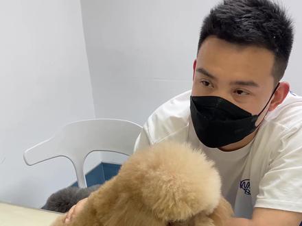 你们说我该表扬灰宝还是揍灰宝?视频结尾有彩蛋 #萌宠 #一定要看到最后 #萌宠出道计划