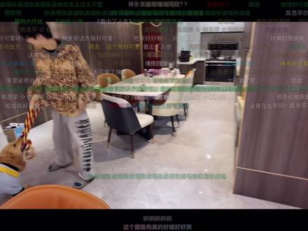 小星星第12期封神,最好看最好笑的一期#一颗好星星 #tf四代 #猫狗大战#张函瑞#陈思罕