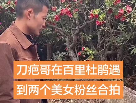 刀疤哥在百里杜鹃遇到两个美女粉丝合拍#荒野刀疤哥#刀疤哥#荒野求生#张家界七星山荒野求生#老六荒野@荒野刀疤哥 @毕节文旅