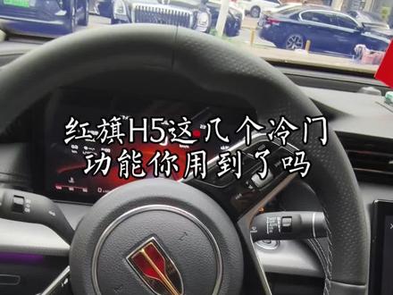 红旗H5这几个冷门按键你用到了嘛#高速行车技巧 #创作者中心 #创作灵感 #红旗H5 #汽车知识