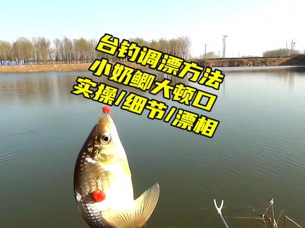 春季台钓钓灵的基础调漂方法,实操细节漂相,小奶鲫也是大顿口 #调漂#钓鲫鱼#钓灵钓钝#钓鱼技巧#漂相#户外钓鱼