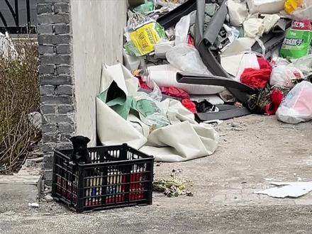 #流浪狗 #流浪狗救助 #流浪狗不再流浪 #流浪狗后续