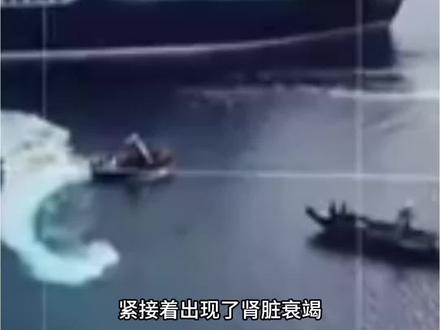 汉坦病毒是什么来头