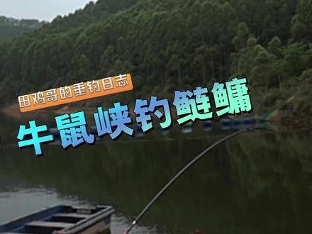 #2022dou来钓鱼听说他这里有80斤的鲢鳙,齐竿线的情况下把它拿上来的几率有多大 #全网钓鱼人都在挑战大鱼 #dou是钓鱼人 #SAVIC