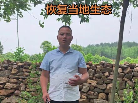 蝎子养殖 今天帮助我们当地恢复生态,野生蝎子快灭绝了,#户外 #蝎子养殖##蝎子 #方城县威威蝎子养殖