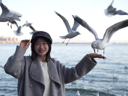 一二月份来昆明玩,这几个地方一定要安排进日程上! #昆明旅游 #海趣花都海洋世界 #畅游海趣马上有钱 #来南方过冬 #冬日暖暖游云南