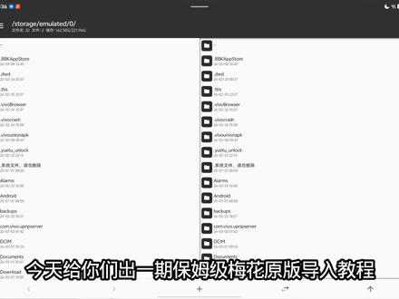 梅花没有的🐷叶#美化导入 @DOU+上热门 @忙完