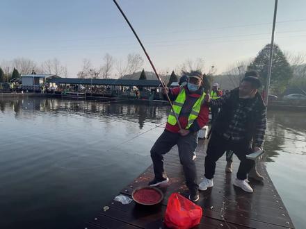 江浙沪首场鲟鱼钓场首场告捷#同城热门 #向往的冬天在吉林 #钓青鱼 #户外钓鱼 #黑坑钓鱼 #钓鱼比赛 #黑坑青鱼 #钓鱼人 #鱼获满满