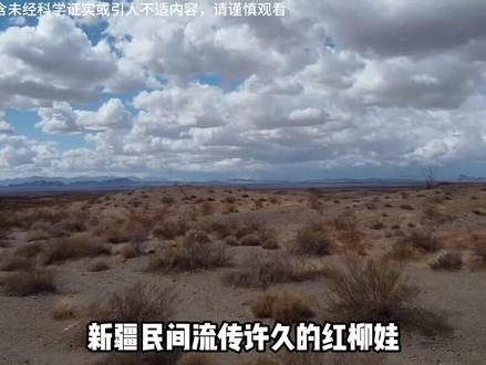 3 新疆民间流传许久的故事,小人国红柳娃,真的存在吗?#奇闻异事 #民间故事 #奇闻 #探秘 #奇人异事