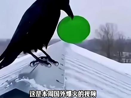 乌鸦🐦⬛ #简单的折飞机教程 #简单折纸 #折纸 #手工折纸 #折纸教程