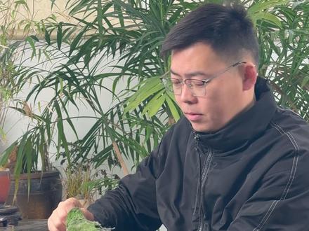 如何教会我家鹦鹉学会说话? #鹦鹉 #萌宠出道计划 #鹦鹉学说话 #鹦鹉学舌